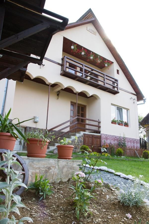 Denisa's Lodge Arieşeni Buitenkant foto